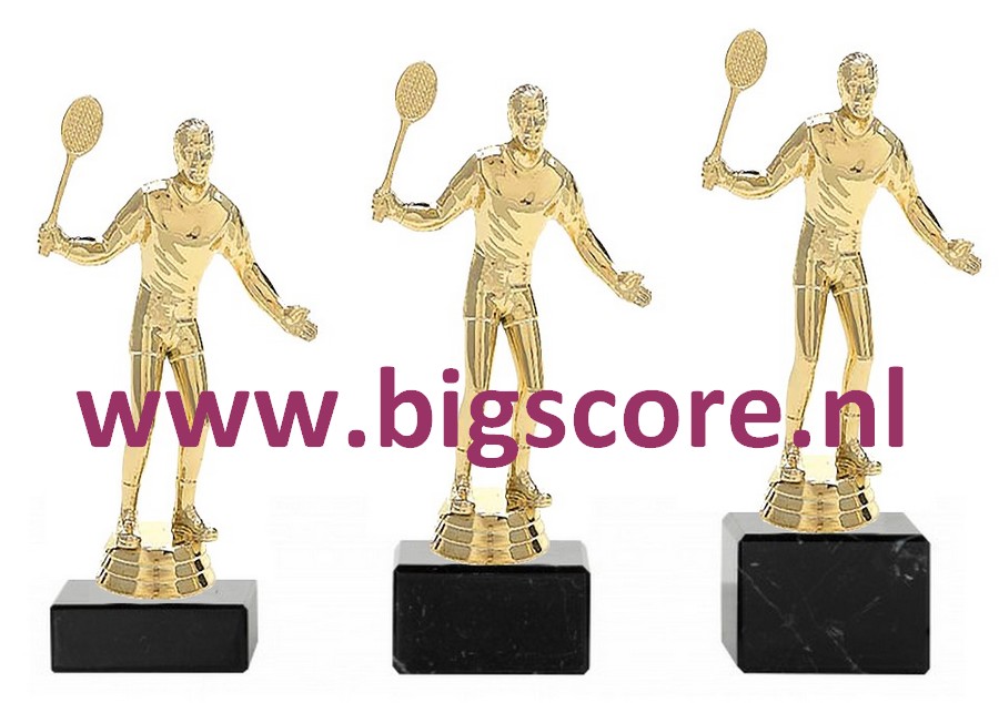 Badminton Heer Goud 529-G